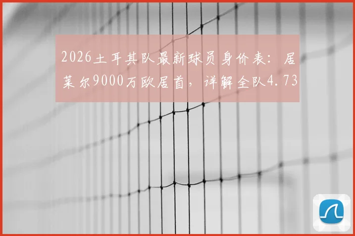2026土耳其队最新球员身价表：居莱尔9000万欧居首，详解全队4.73亿欧元构成与阵容实力